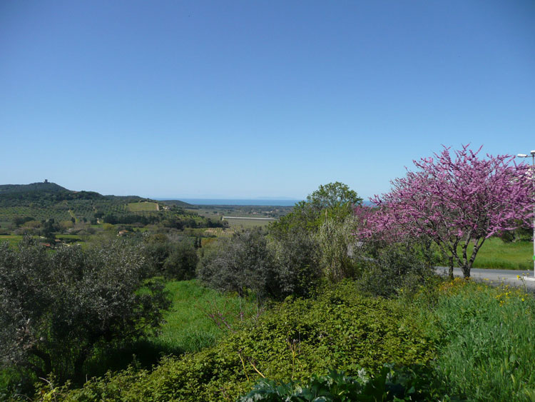 Panorama da Castagneto C.cci